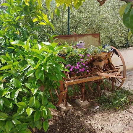 Bed & Breakfast Lucia 4*