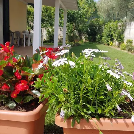 Lucia Bed & Breakfast Tortoreto