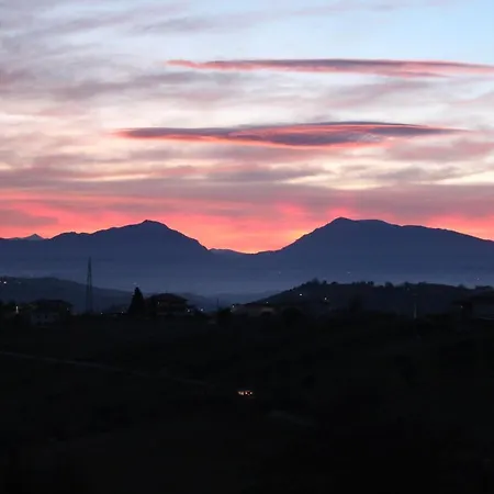 Lucia 托尔托雷托