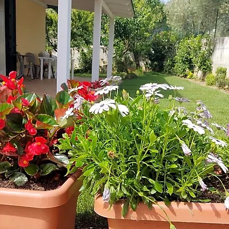 Bed & Breakfast Lucia 4*