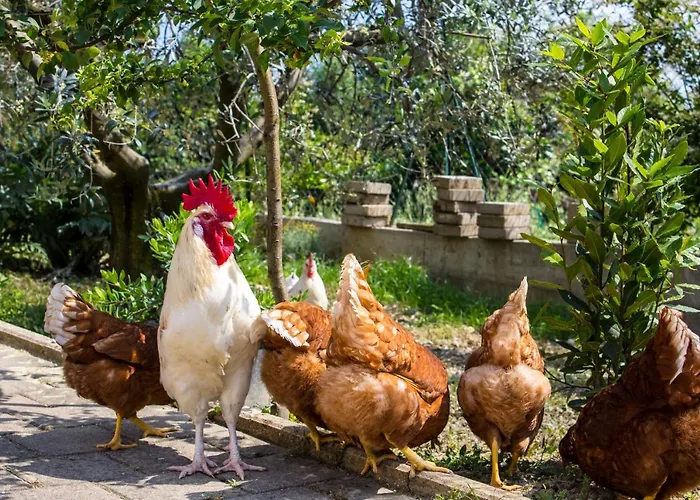 Lucia Bed & Breakfast