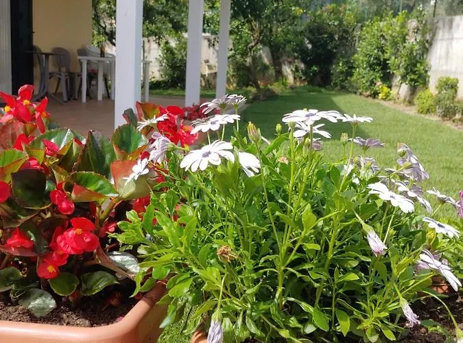 Lucia Bed & Breakfast Tortoreto